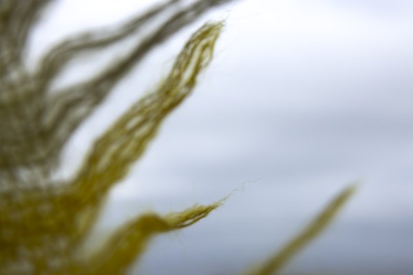 Crossing the Salish 8